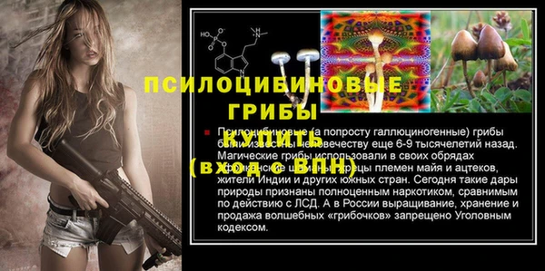 хмурый Нягань