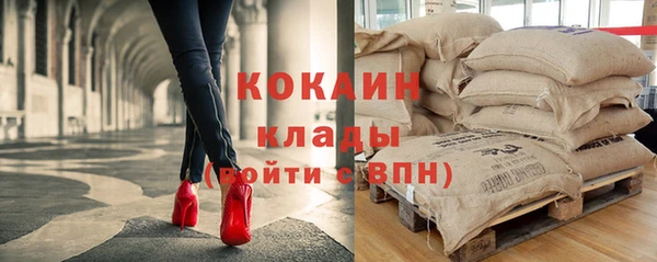 СК Осинники