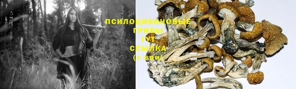 СК Осташков