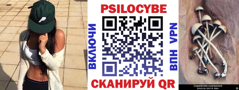 Псилоцибиновые грибы мицелий  Любим 